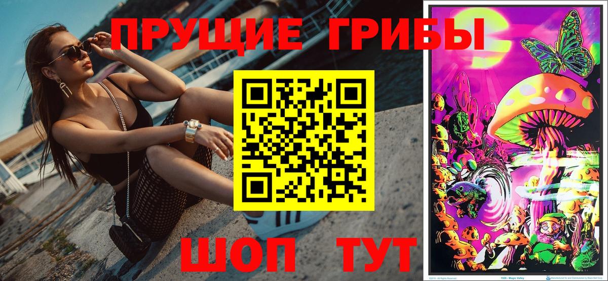 Ржев  даркнет сайт  Вход с VPN  Псилоцибиновые грибы MAGIC MUSHROOMS 
